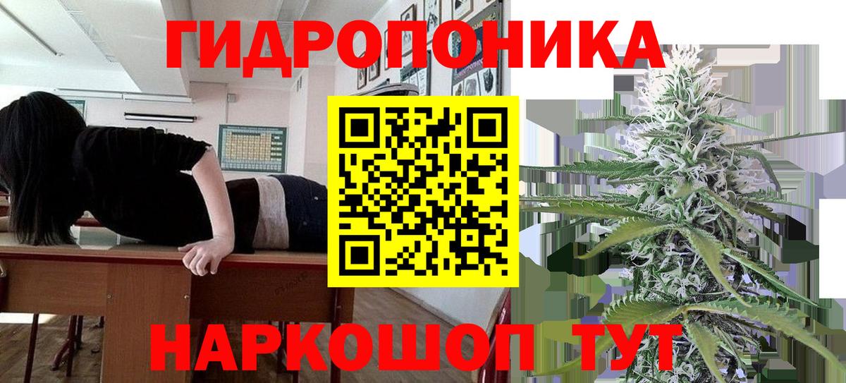 Астрахань  МАРИХУАНА семена  Шишки марихуана конопля  Вход с VPN  Каннабис семена 
